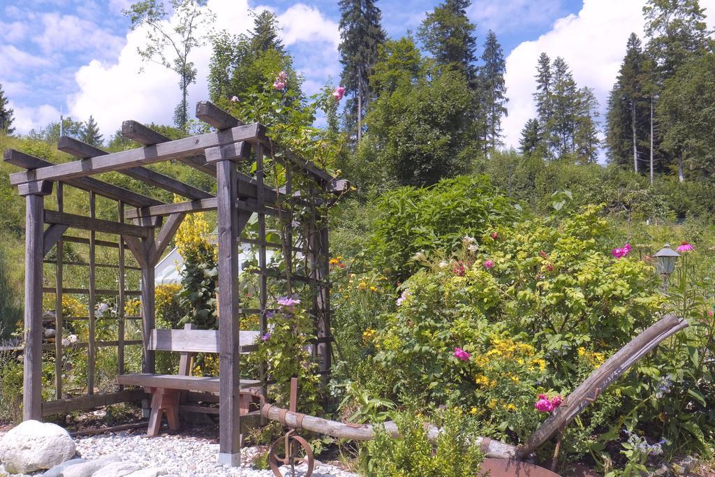 Pension Aloisia Scheffau am Wilden Kaiser Exterior foto