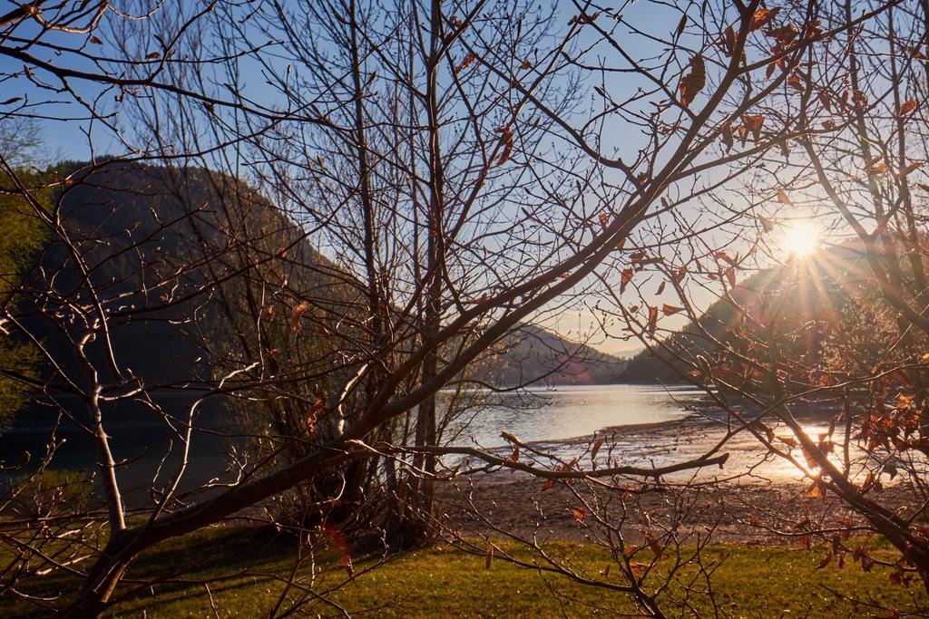 Pension Aloisia Scheffau am Wilden Kaiser Exterior foto